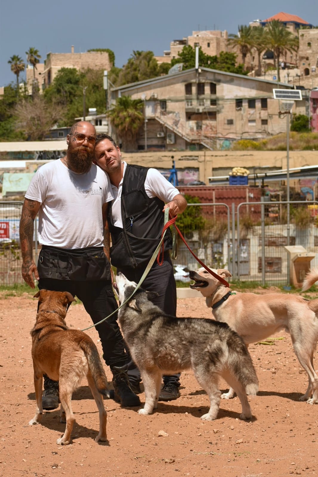 Dog Training Consultation